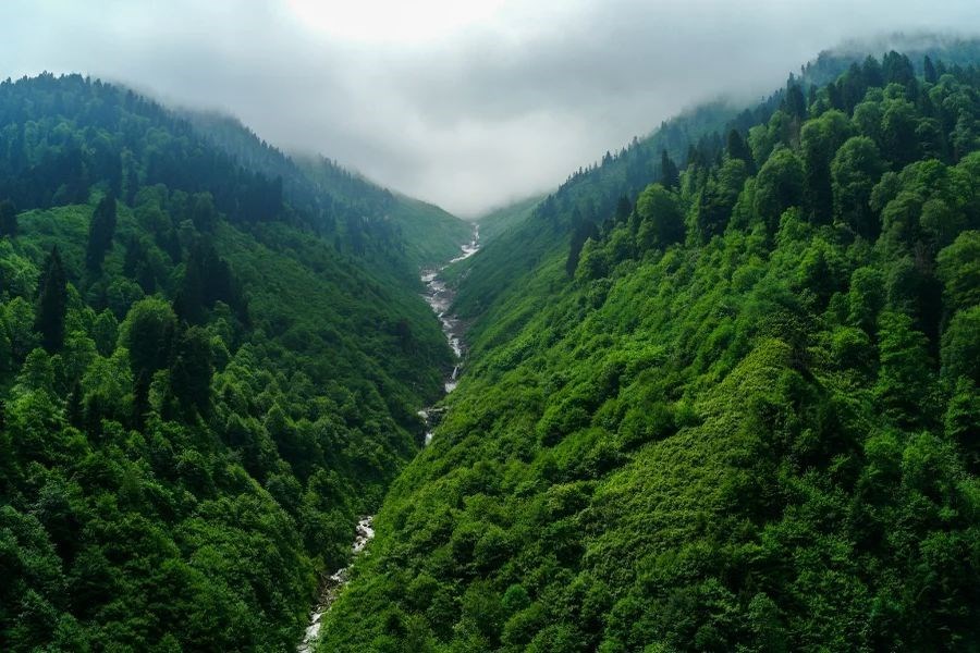 Karadeniz Yaylalar Ve Batum Turu 5 Gece Otel Konaklamalı Afyon Çıkışlı 15 Temmuz Özel