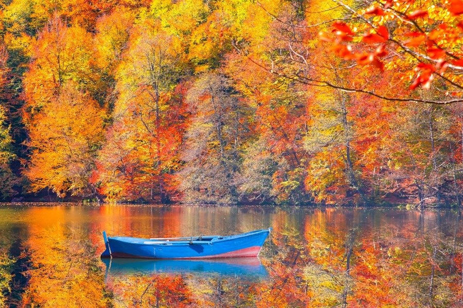 29 Ekim Maşukiye Yedigöller Abant Turu İstanbul Hareketli