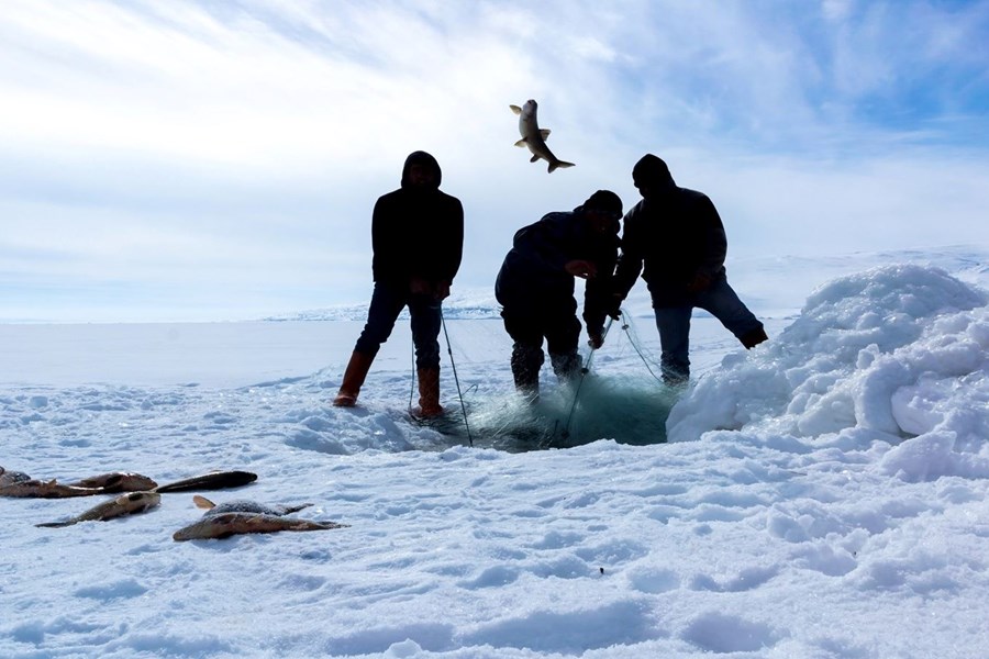 Turistik Doğu Ekspresi İle Kars Turu Kocaeli Hareketli