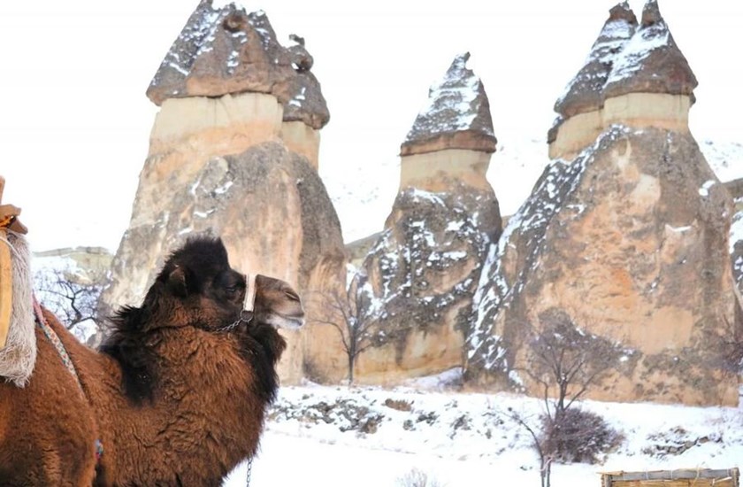 Uçaklı Kapadokya Turu Thy Ile 2 Gece Otel Konaklamalı Sevgililer Günü Özel