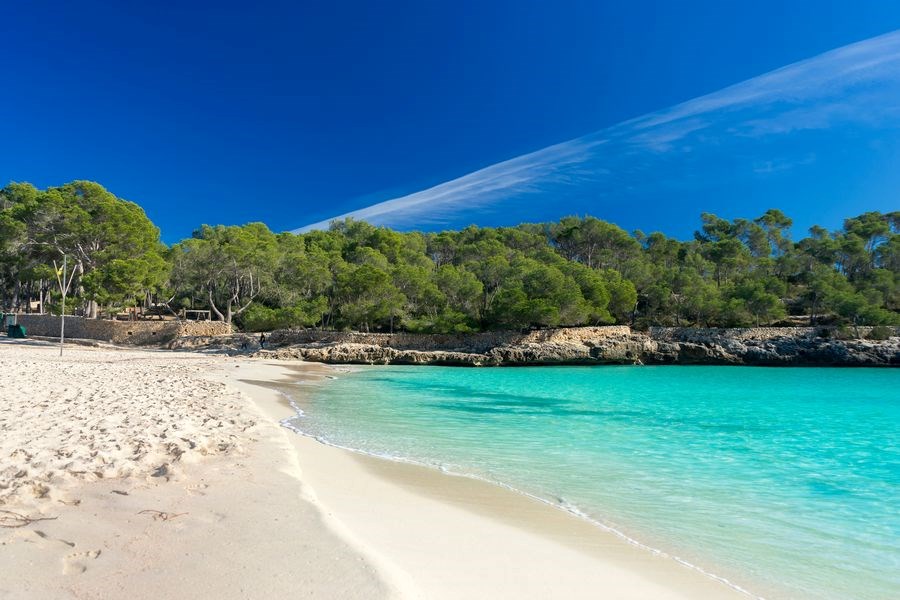 Mallorca Özel Havayolları ile 4 Gece FL001