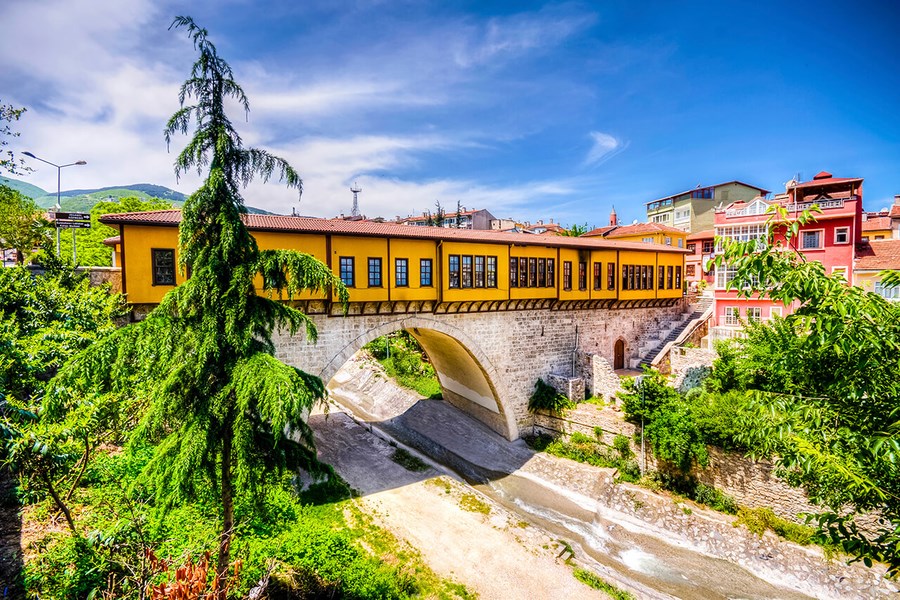 Bursa İnegöl Sokak Lezzetleri Turu İstanbul Çıkışlı