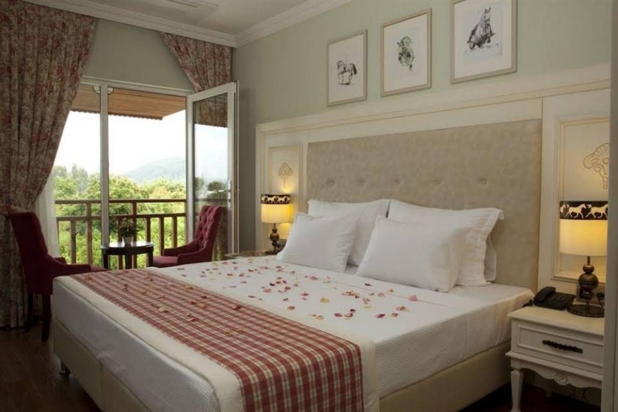 Padok Premium Hotel & Stables 