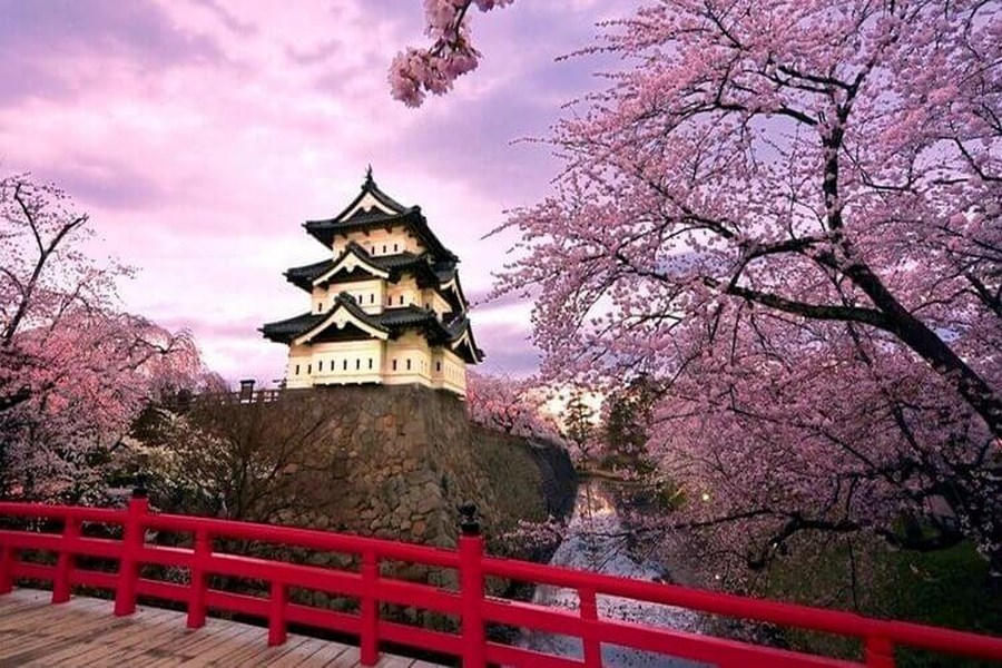 Japonya’da Sakura Sezonu Erken Başladı