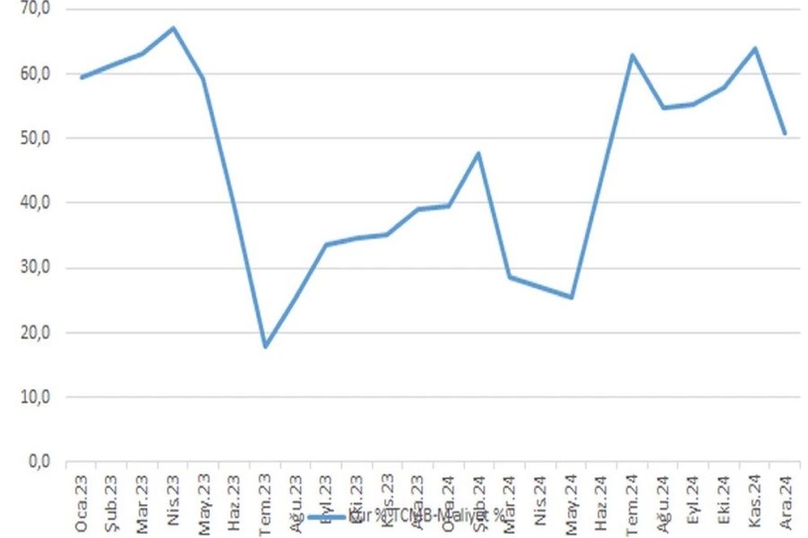 2024te Otel Sektöründe Maliyet ve Döviz Kuru Denge Sorunu