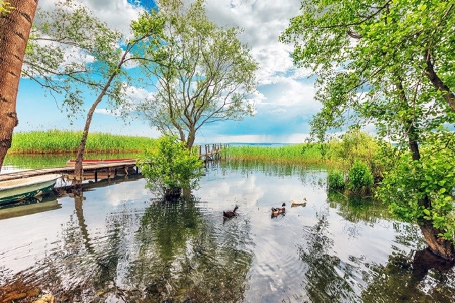 Popüler Camping Glamping Tiny House ve Bungalov Konaklama Rotaları