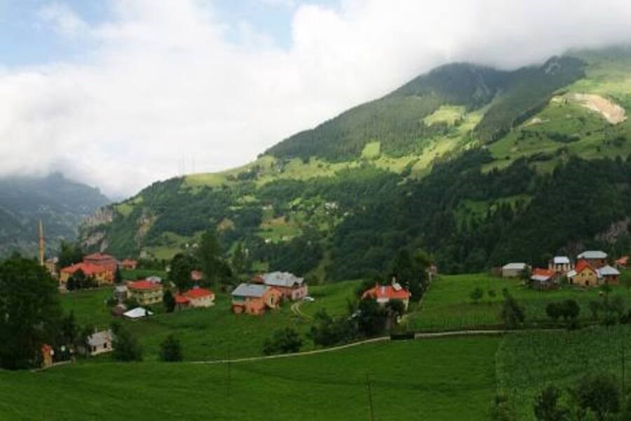 Şenlik Rüzgarı Hamsiköyden Esecek