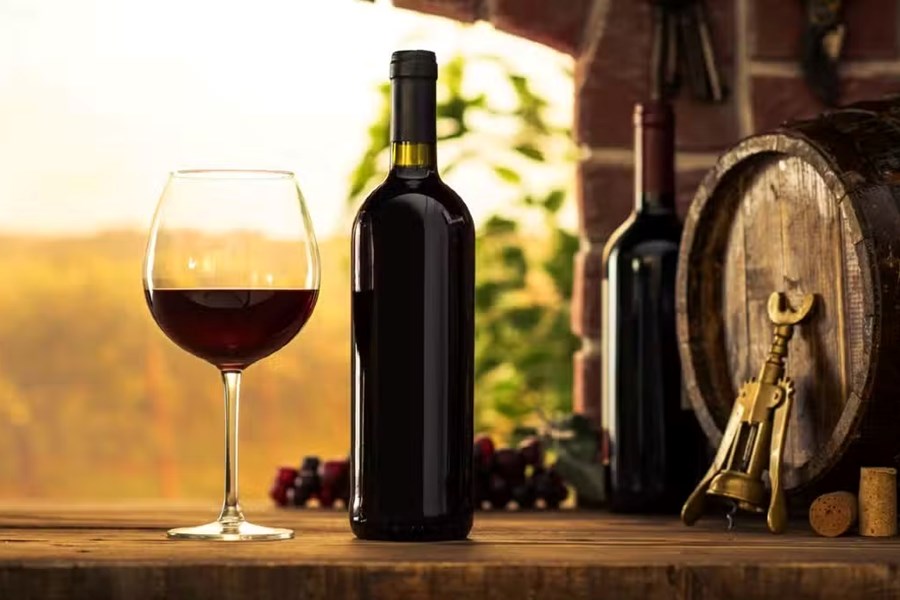 Fransa, Şarap Rotalarını Elektrikli Bisiklet Turlarıyla Buluşturdu