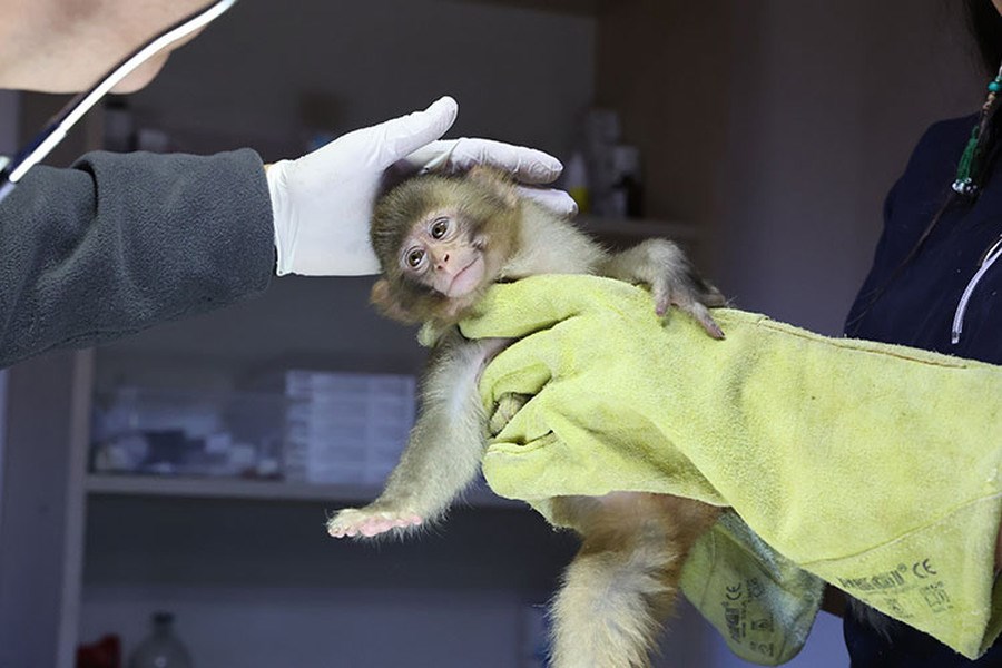 Antalya Otobüs Terminali