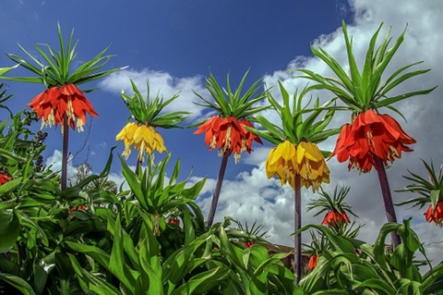 Vana Gidenlerin Kaçırmaması Gereken 12 Efsane Aktivite